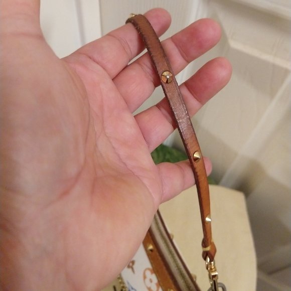 Louis Vuitton Multicolor Pochette Accessoires - Picture 9 of 16